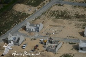 P1550542 2022 09 05 Allée Des Hérons, Des Spatules